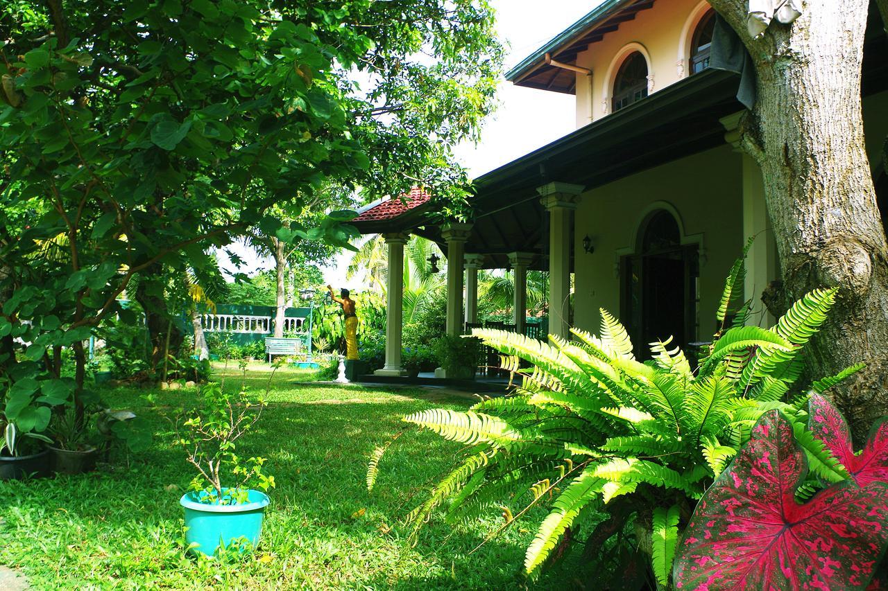Villa Eco Green Негомбо Екстериор снимка